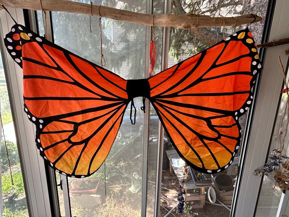Orange and Black Monarch Butterfly Wings, Halloween Costume - L child Sm Adult